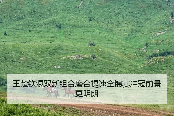 王楚钦混双新组合磨合提速全锦赛冲冠前景更明朗